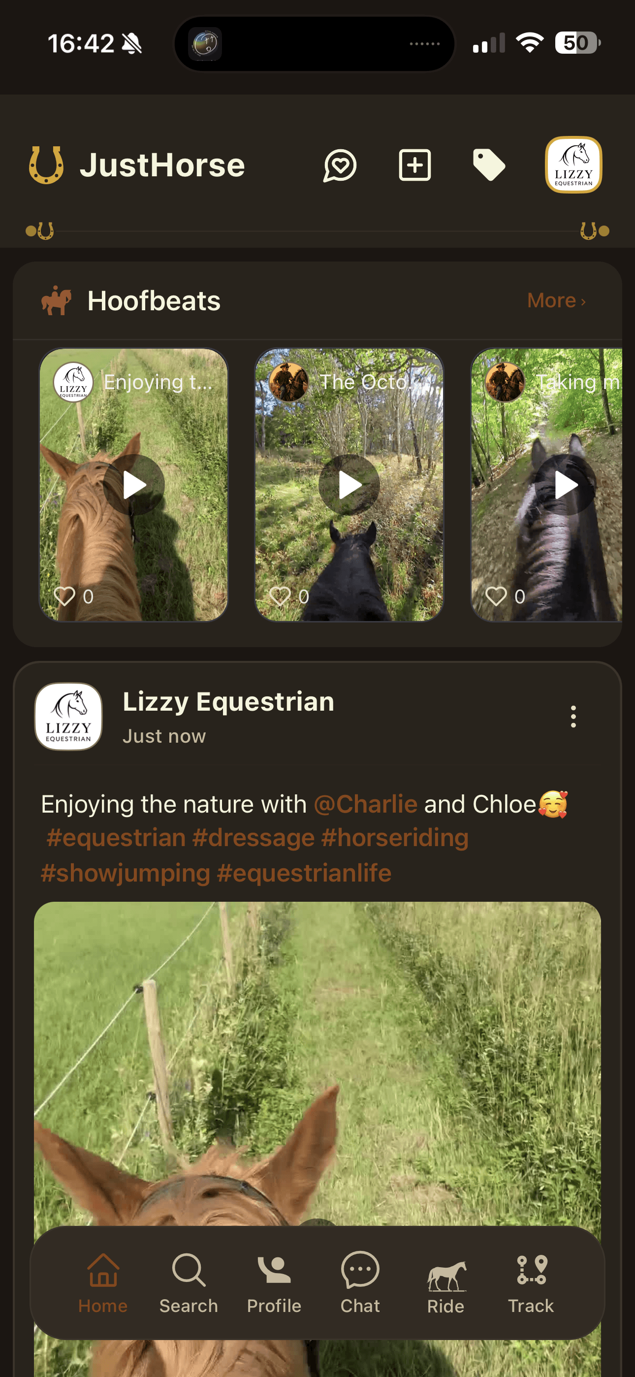 JustHorse App